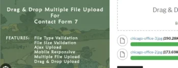Contact Form 7 Database Pro Addons – CFDB7 by CipherCoin [Updated Addons on  2024]