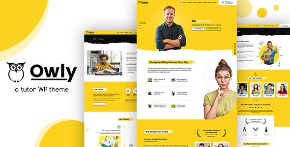 Owly – Tutor, Training WordPress, elearning Theme